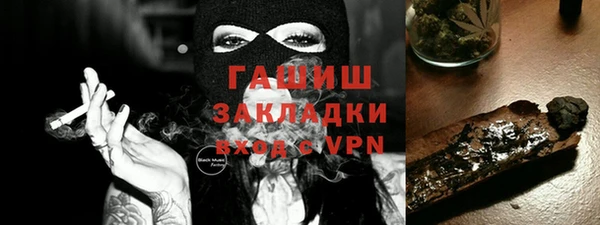 прущие грибы Гусев