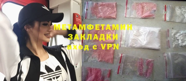 прущие грибы Гусев
