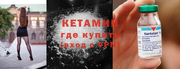 прущие грибы Гусев
