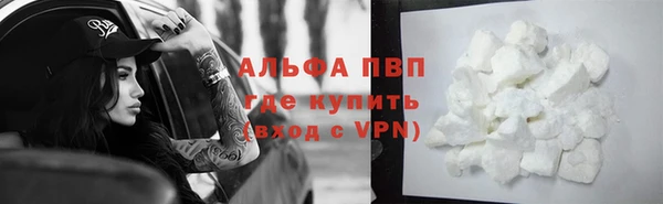 прущие грибы Гусев