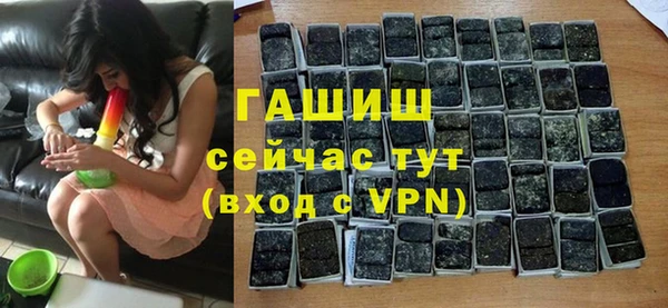 прущие грибы Гусев