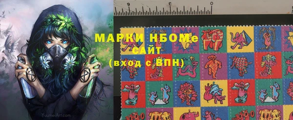 прущие грибы Гусев