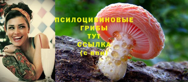 мяу мяу кристалл Гусиноозёрск