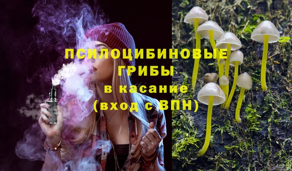 2c-b Гусь-Хрустальный