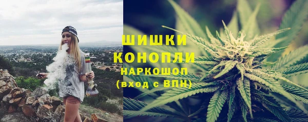 прущие грибы Гусев