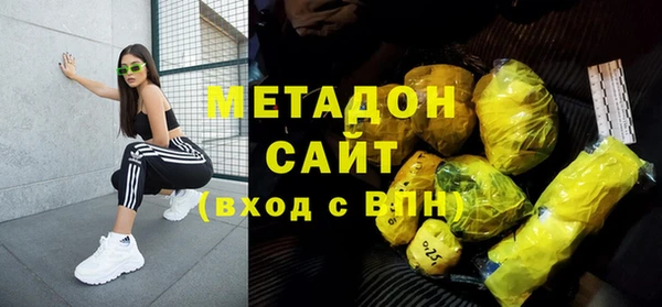 прущие грибы Гусев