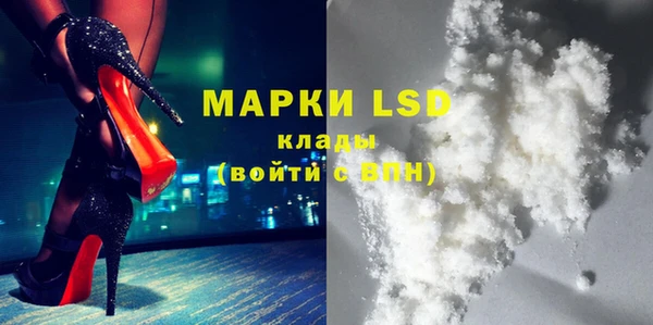 прущие грибы Гусев