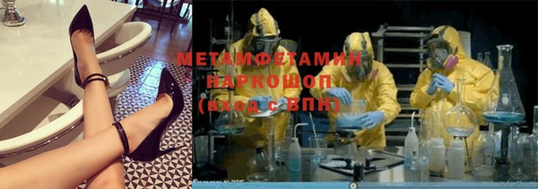 прущие грибы Гусев