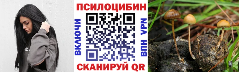 Псилоцибиновые грибы Magic Shrooms  Невинномысск 