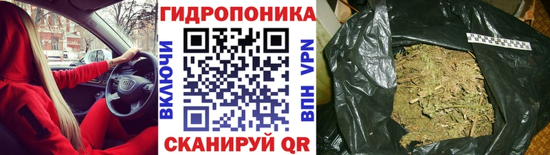 нарко площадка как зайти  mega рабочий сайт  Невинномысск  Канабис AK-47 